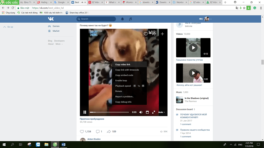 Screenshot of a VK video download page